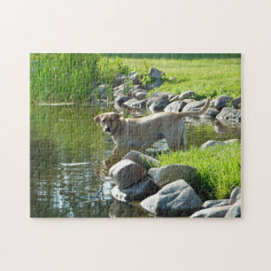 Labrador Retriever See-Felsen Puzzle