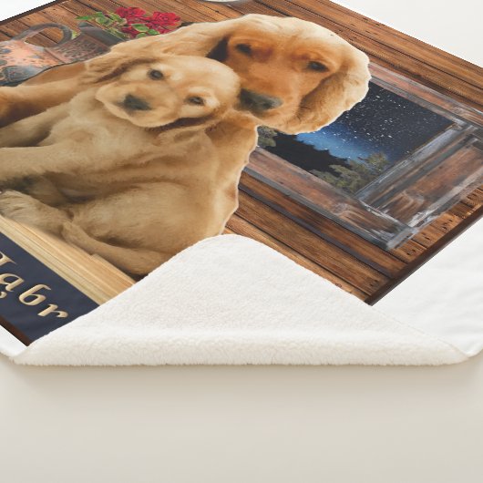 Labrador Retriever Sherpadecke (3/4)