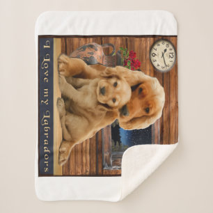 Labrador Retriever Sherpadecke