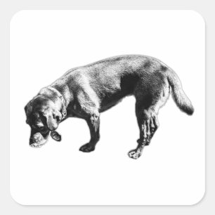 Labrador Retriever Sniffing Tinte Art Sticker