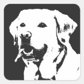 Labrador Retriever Square Sticker (Vorderseite)