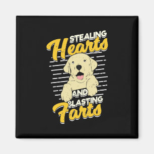 Labrador Retriever Stealing Hearaling Magnet