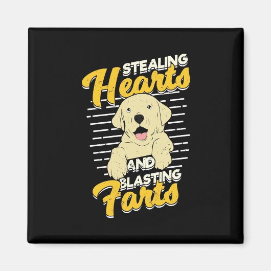 Labrador Retriever Stealing Hearaling Magnet (Vorne)