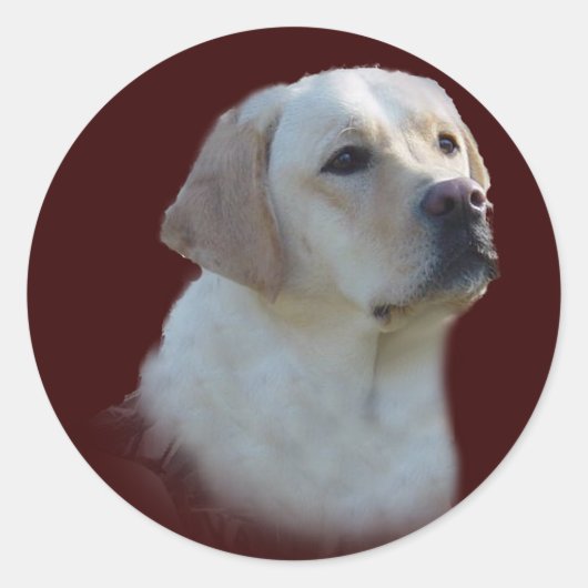 Labrador Retriever Sticker (Vorderseite)