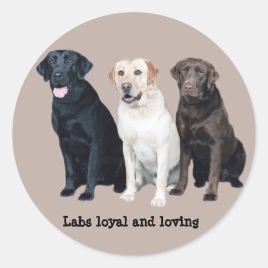 Labrador Retriever Sticker (Vorderseite)