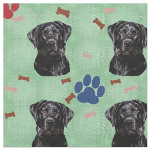 Labrador retriever stoff