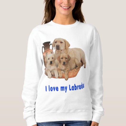 Labrador Retriever Sweatshirt (Vorderseite)