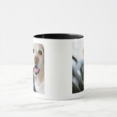 Labrador retriever tasse (Zentrum)