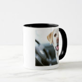 Labrador retriever tasse (VorderseiteRechts)