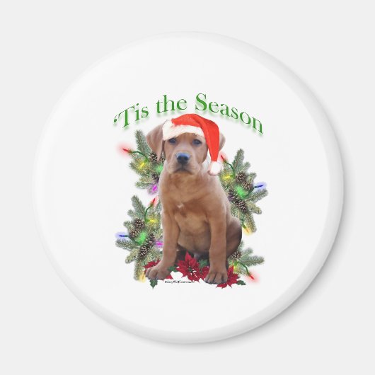 Labrador Retriever "Tis Magnet (Vorne)