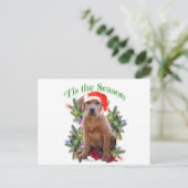 Labrador Retriever "Tis Postkarte (Stehend Vorderseite)
