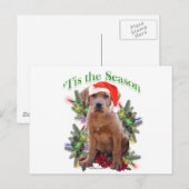 Labrador Retriever "Tis Postkarte (Vorne/Hinten)
