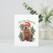 Labrador Retriever "Tis Postkarte (Stehend Vorderseite)