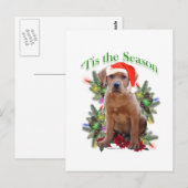 Labrador Retriever "Tis Postkarte (Vorne/Hinten)