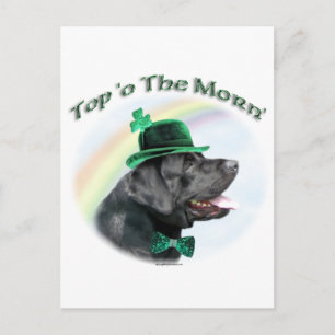 Labrador Retriever Top of the Morn Postkarte