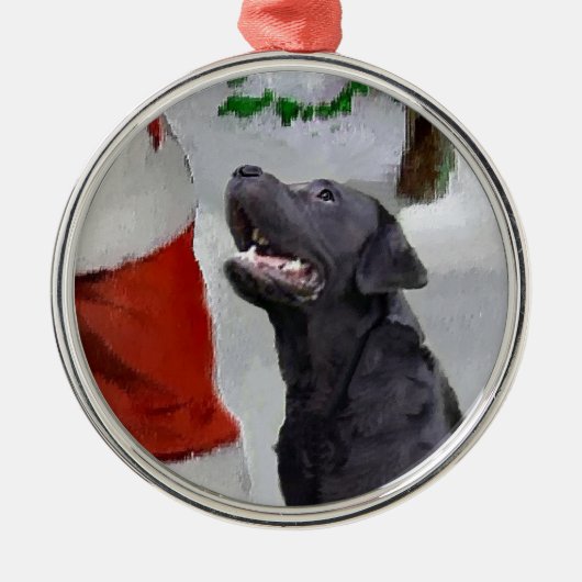 Labrador Retriever trifft Weihnachten Ornament Aus Metall (Vorne)