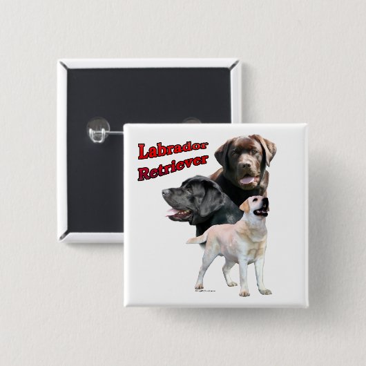 Labrador Retriever Trio 2 - Button (Vorne & Hinten)