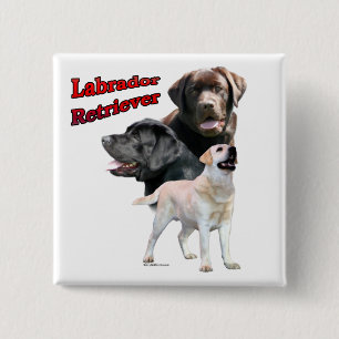 Labrador Retriever Trio 2 - Button