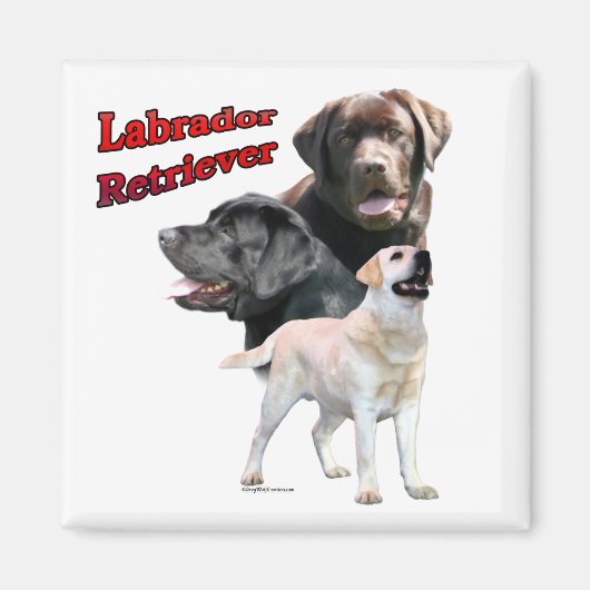 Labrador Retriever Trio 2 - Magnet (Vorne)