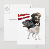 Labrador Retriever Trio 2 Postkarte (Vorne/Hinten)