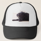 labrador retriever truckerkappe (Vorderseite)