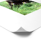 Labrador Retriever und Purple Flowers Poster (Ecke)