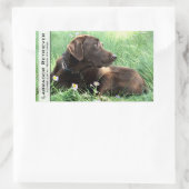 Labrador Retriever und Purple Flowers Rechteckiger Aufkleber (Tasche)
