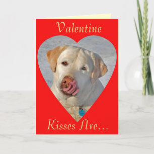Labrador Retriever Valentine's Day Card Feiertagskarte