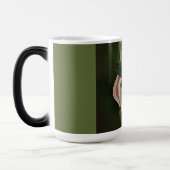 LABRADOR RETRIEVER VERWANDLUNGSTASSE (Links)