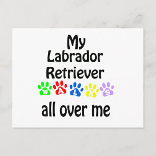 Labrador Retriever Walking Design Postkarte