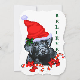 Labrador Retriever Weihnachten