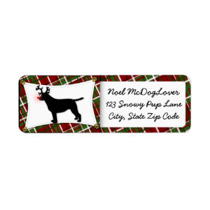 Labrador retriever-Weihnachten