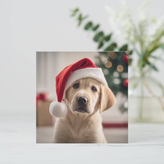 Labrador Retriever Weihnachten (Stehend Vorderseite)