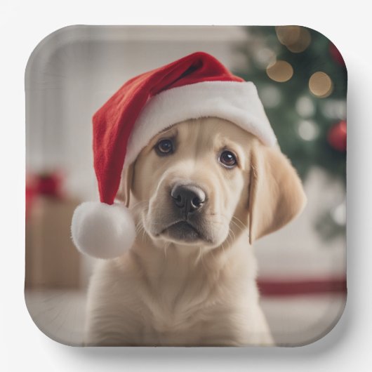 Labrador Retriever Weihnachten Pappteller (Vorderseite)
