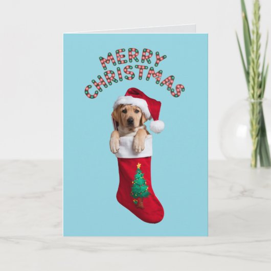 Labrador Retriever Weihnachts-Strumpf Karte (Vorderseite)