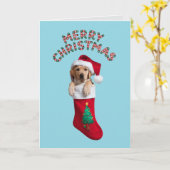 Labrador Retriever Weihnachts-Strumpf Karte (Gelbe Blume)