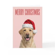 Labrador Retriever Weihnachtsfreude