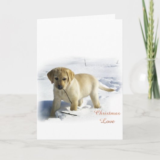 Labrador Retriever Weihnachtsgeschenke Feiertagskarte (Vorderseite)