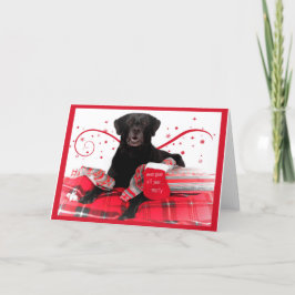 Labrador Retriever Weihnachtskarten Feiertagskarte
