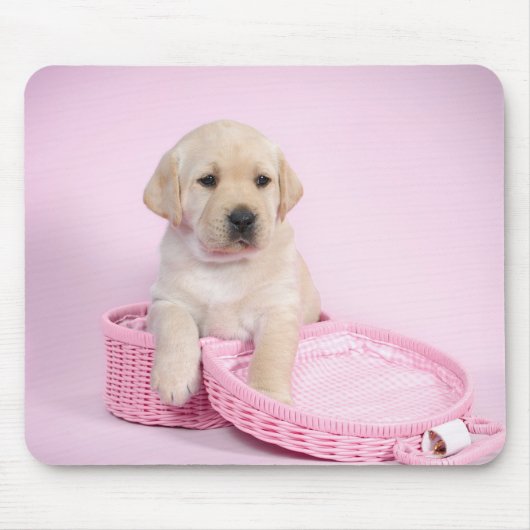 Labrador Retriever Welpe auf rosa Hintergrund Mousepad (Vorne)
