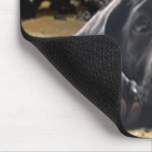 Labrador retriever-Welpe auf Strand Mousepad (Ecke)