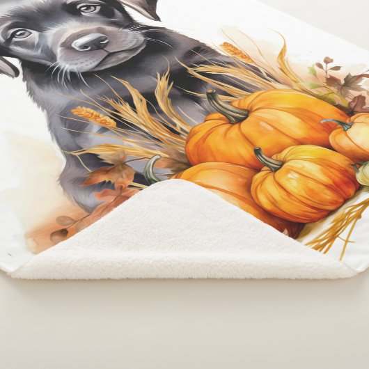 Labrador Retriever Welpe Autumn Pumpkins Dog Lover Sherpadecke (3/4)