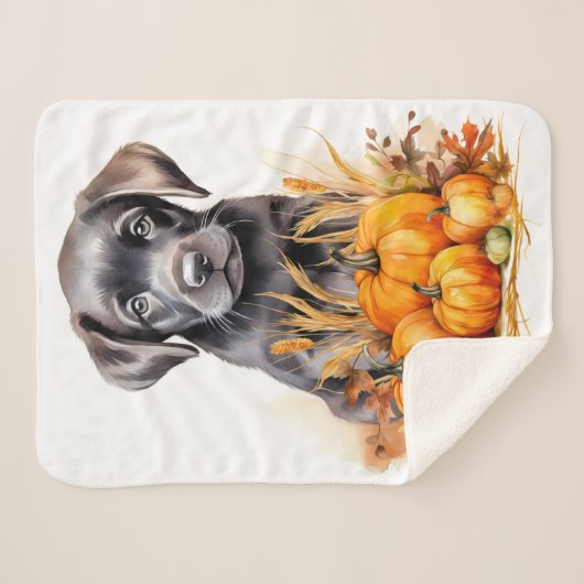 Labrador Retriever Welpe Autumn Pumpkins Dog Lover Sherpadecke (Vorderseite (Horizontal))