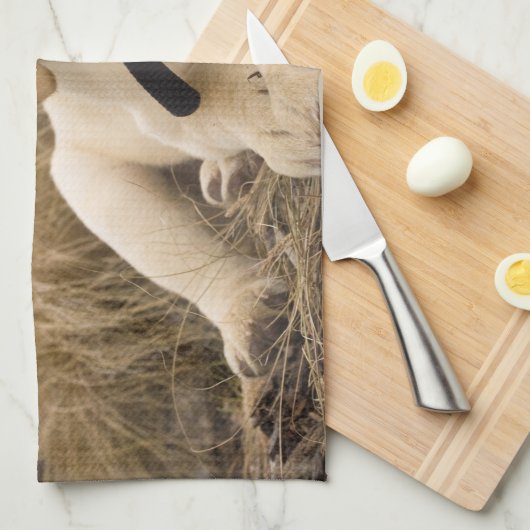 Labrador Retriever Welpe Geschirrtuch (Viertel Falte)