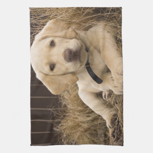 Labrador Retriever Welpe Geschirrtuch (Vertikal)