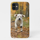 Labrador Retriever Welpe im Herbst Landschaft Case-Mate iPhone Hülle (Rückseite)