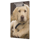 Labrador retriever-Welpe Klemmbrett (Links)