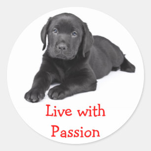 Labrador Retriever Welpe Lebe Mit Leidenschaft Auf Runder Aufkleber
