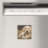 Labrador Retriever Welpe Magnet (In Situ (Geschirrspüler))