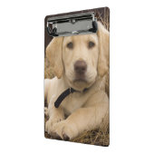 Labrador Retriever Welpe Mini Klemmbrett (Gewinkelt2)